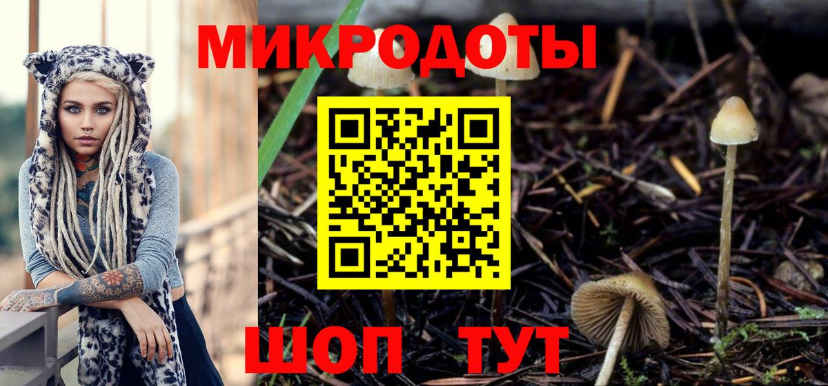 Псилоцибиновые грибы MAGIC MUSHROOMS Фурманов